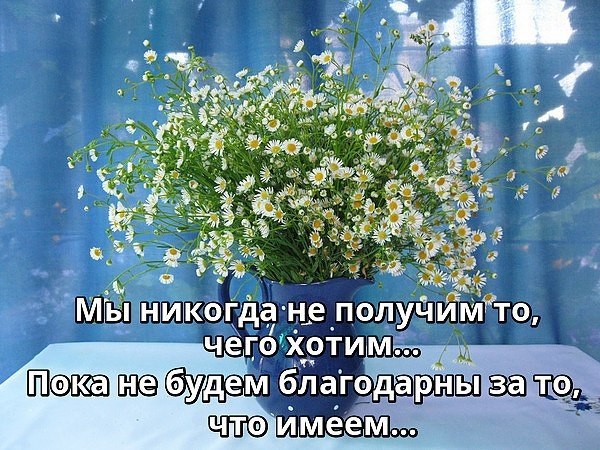  - 22  2018  02:52