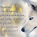 ���� �����, �����, 42 ���� - ��������� 20 ���� 2018 � ������ ���� ����������