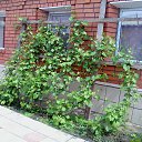 ���� ������, ����� - ��������� 26 ��� 2018 � ������ ���� ����������