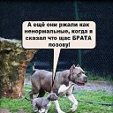 ���� �������, �������� - ��������� 22 ��� 2018 � ������ ������ ����