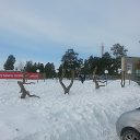 ���� ������, ������ - ��������� 22 ������� 2017 � ������ ���� ����������