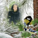 ���� �������, �������������� - ��������� 2 ������� 2018 � ������ ���� ����������