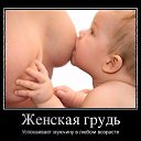 ���� ������, ������, 55 ��� - ��������� 19 ������ 2018 � ������ ���� ����������