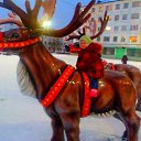 ���� �������, ��������, 43 ���� - ��������� 24 ������ 2018 � ������ ������ ��������