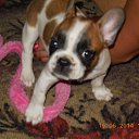 ���� ������, ��������, 48 ��� - ��������� 10 ������� 2017 � ������ �����!!!�