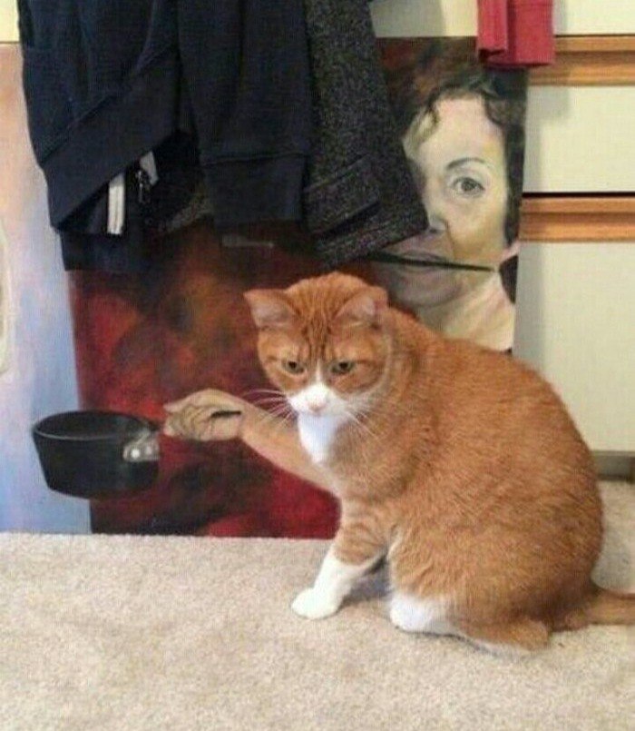     ,      ...