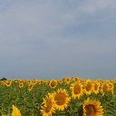 ���� �����, �������, 47 ��� - ��������� 9 ���� 2018 � ������ ��� ����� �� �������