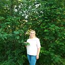 ���� �����, ������������, 41 ��� - ��������� 1 ���� 2018 � ������ ���� ����������