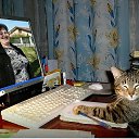 ���� �������, �����, 66 ��� - ��������� 8 ��� 2018 � ������ ���� ����������