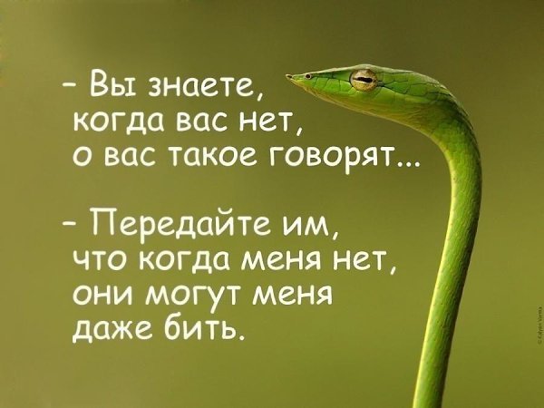   - 17  2018  03:51