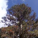 ���� ��������, �����������, 49 ��� - ��������� 11 ������� 2017 � ������ ���ʻ