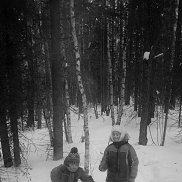 ������, 41 ���, �����������