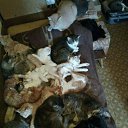 ���� ������, �����, 59 ��� - ��������� 18 ����� 2018 � ������ ������ ��������