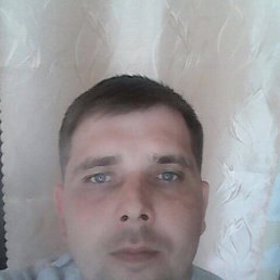 ����, ��������, 41 ���