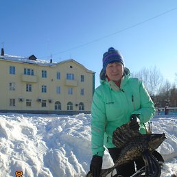 ������, ��������, 67 ���