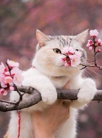 1  -  . ,     :3