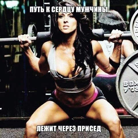 SportFeed - 2  2018  03:35