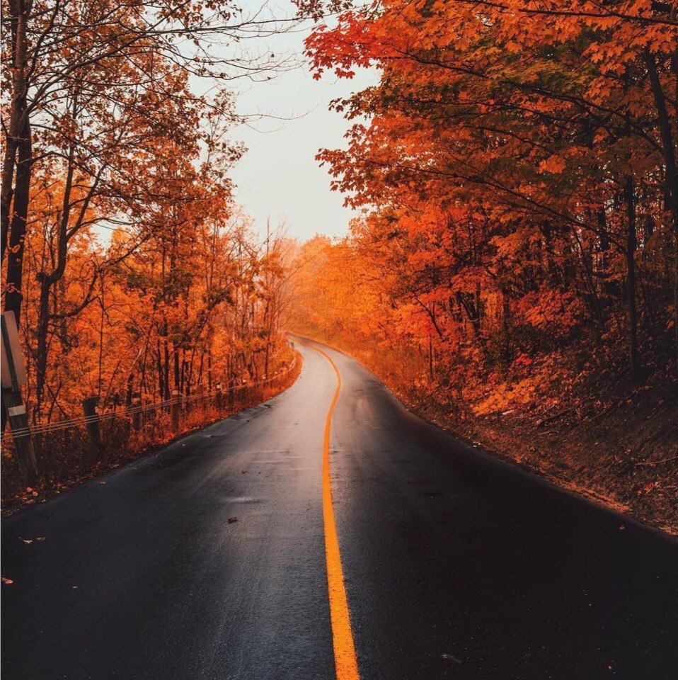 Canada - 6