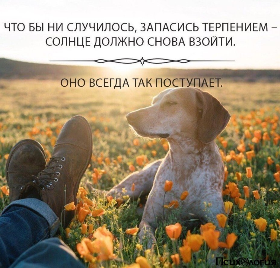  - 2  2018  03:04