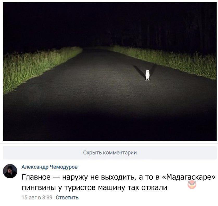   - 28  2018  02:31