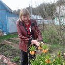 ���� �������, ���������, 61 ��� - ��������� 10 ��� 2018 � ������ ������ ��������