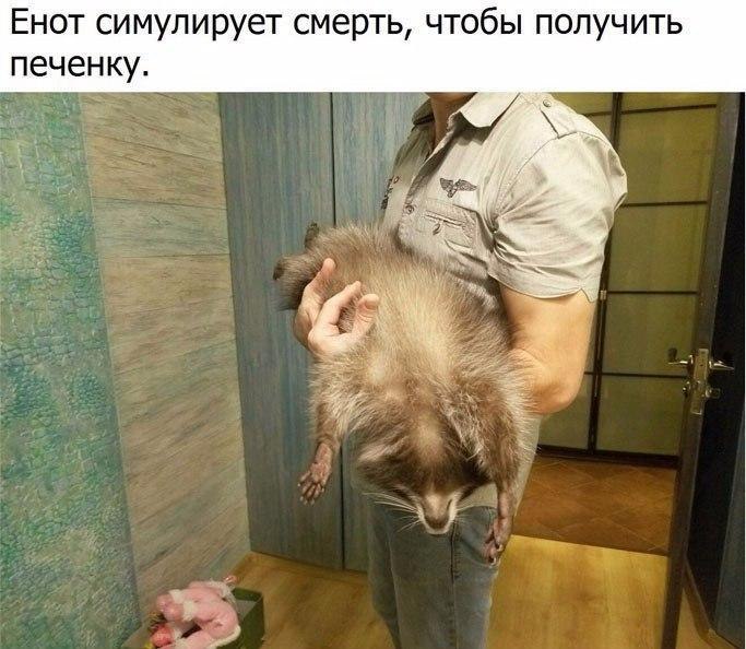    ...)