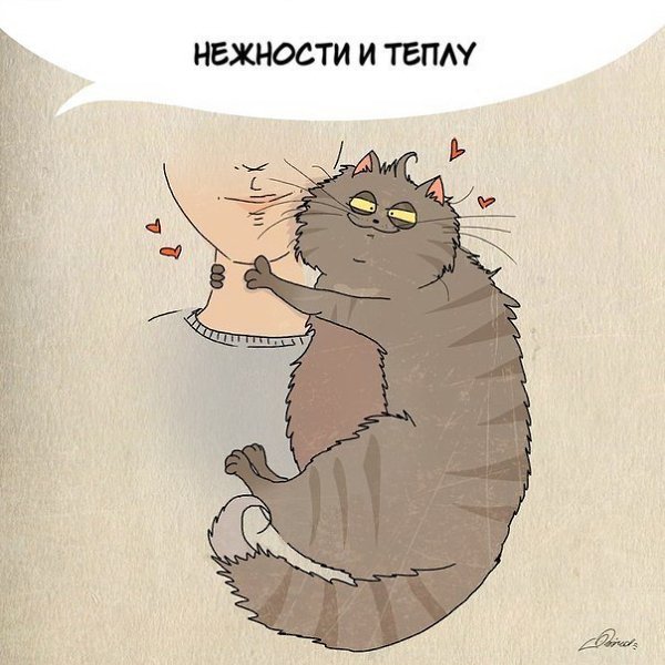 1 марта отмечается День кошек. Нам есть чему поучиться у шерстяных засранцев :3 - 7