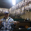 ���� �����, �����������, 44 ���� - ��������� 8 ���� 2018 � ������ ���� ����������