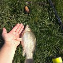 ���� Andrey, ������� - ��������� 15 ���� 2018 � ������ ���� ����������