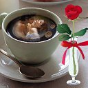 ���� Tanya, ����������� - ��������� 23 ������� 2017 � ������ ���� ����������