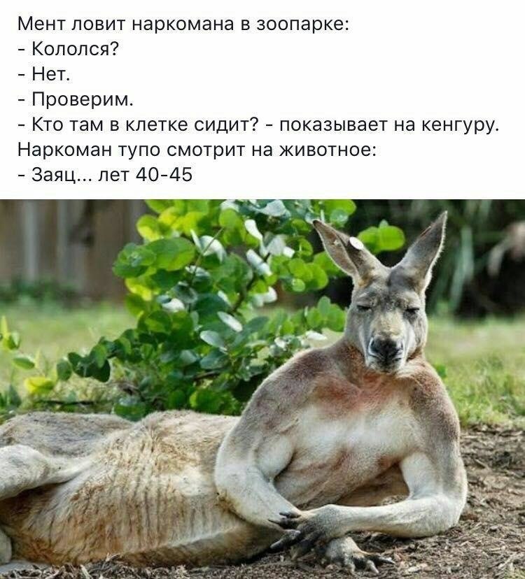 ***Victoria Viktorovna*** - 4  2018  09:07