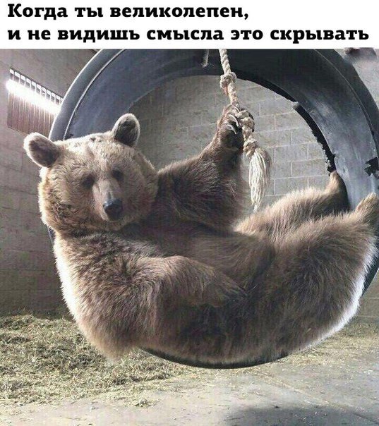   - 6  2018  10:00