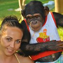 ���� �����, ���� - ��������� 2 ������ 2018 � ������ ���� ����������