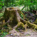  , , 52  -  27  2018     ()