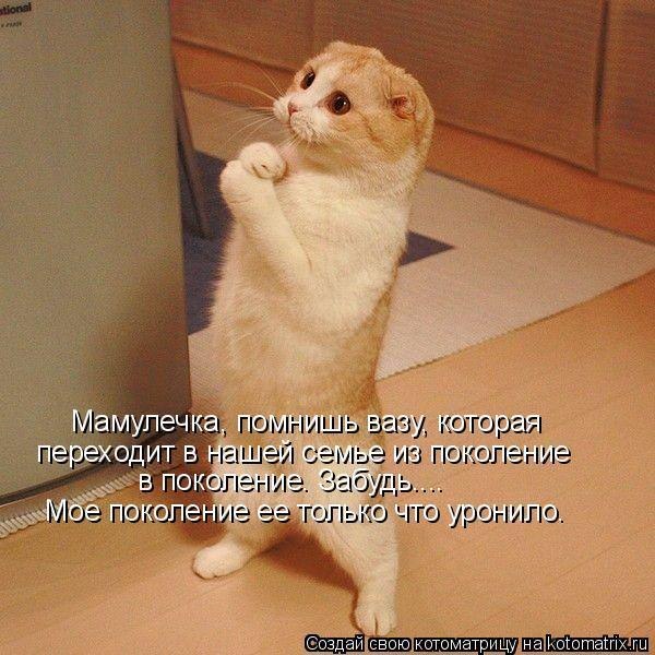   :3 - 28  2018  15:22