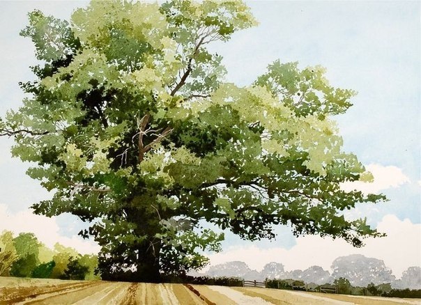 Ian Sidaway. - 4