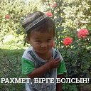 ���� �����, ���, 42 ���� - ��������� 12 ����� 2018