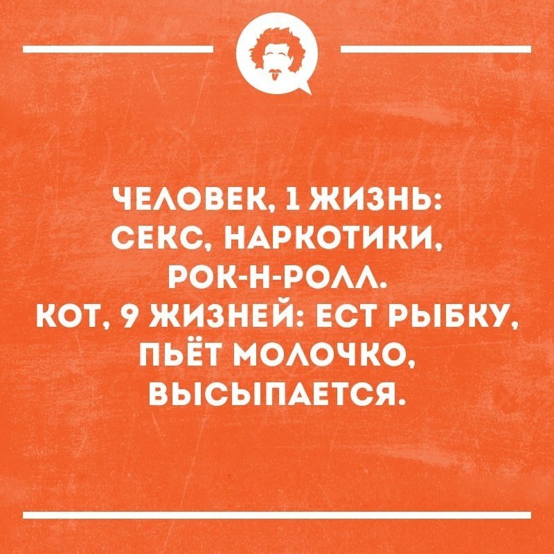   - 6  2018  02:29