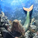 ���� �����, �������, 57 ��� - ��������� 16 ������� 2018 � ������ ������ ��������