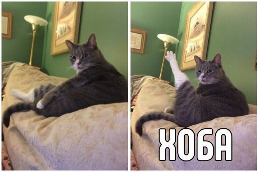 : ,   ?.: