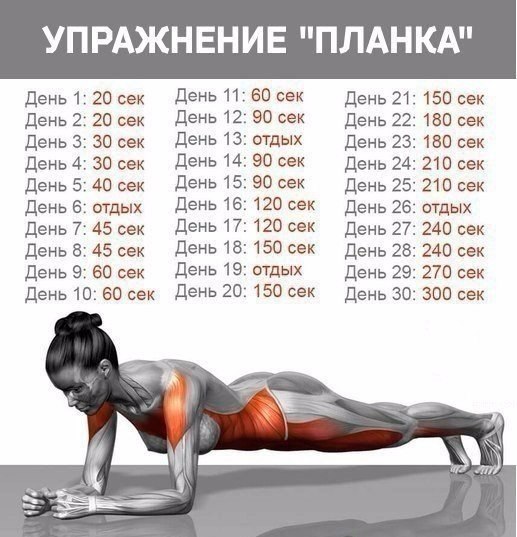  - 29  2018  02:49