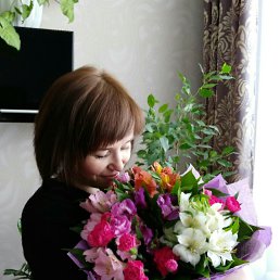 �����, �����������, 48 ���