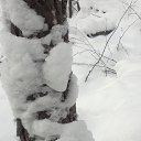 ���� �������, ������� - ��������� 28 ������ 2017 � ������ ��������