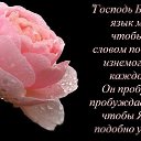  ,  -  22  2018    