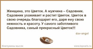 «Растения — новый биткоин»: как маркетолог открыл питомник в Подмосковье