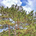 ���� �����, ��������, 67 ��� - ��������� 5 ��� 2018