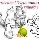 ���� ������, �����, 59 ��� - ��������� 18 ����� 2018 � ������ ������ ��������