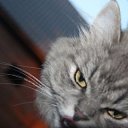���� Mishka, ������ - ��������� 26 ���� 2018 � ������ ���� �����