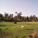 ���� ������, ������ - ��������� 28 ������� 2017 � ������ ���� ����������