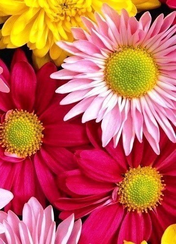   - 3  2018  03:45 - 6